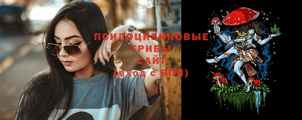 соль курить ск Бородино