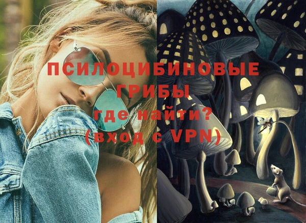 дурь Новозыбков
