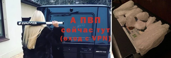 прущая мука Новодвинск