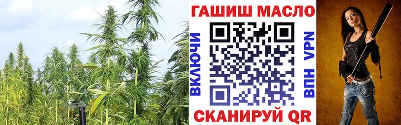 ТГК гашишное масло  цена   Кола 