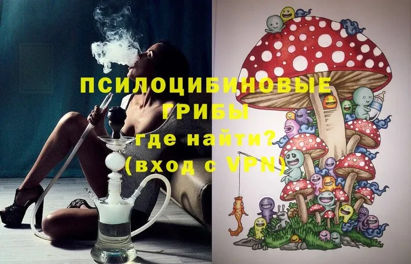 Галлюциногенные грибы Magic Shrooms  Кола 