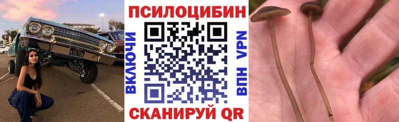 цены наркотик  Кола  Псилоцибиновые грибы Cubensis 